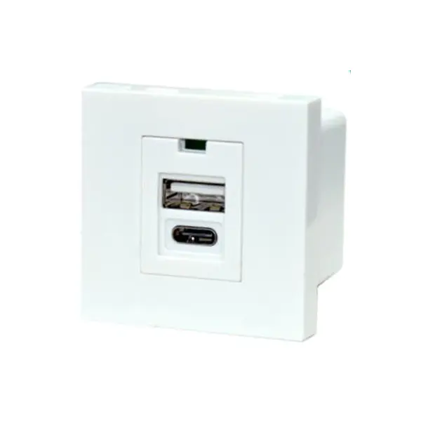 Dual Port TypeA+C Usb Caja Socket Module