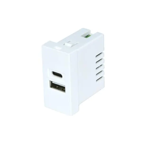 Twin Port TypeA+C Usb Caja Socket Module